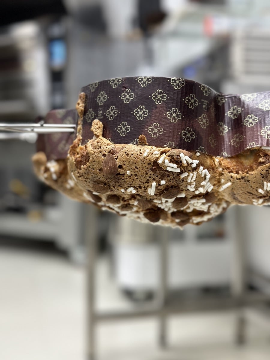 SPECIALIZZAZIONE GRANDI LIEVITATI - PANETTONE